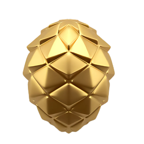 Communication Strategy